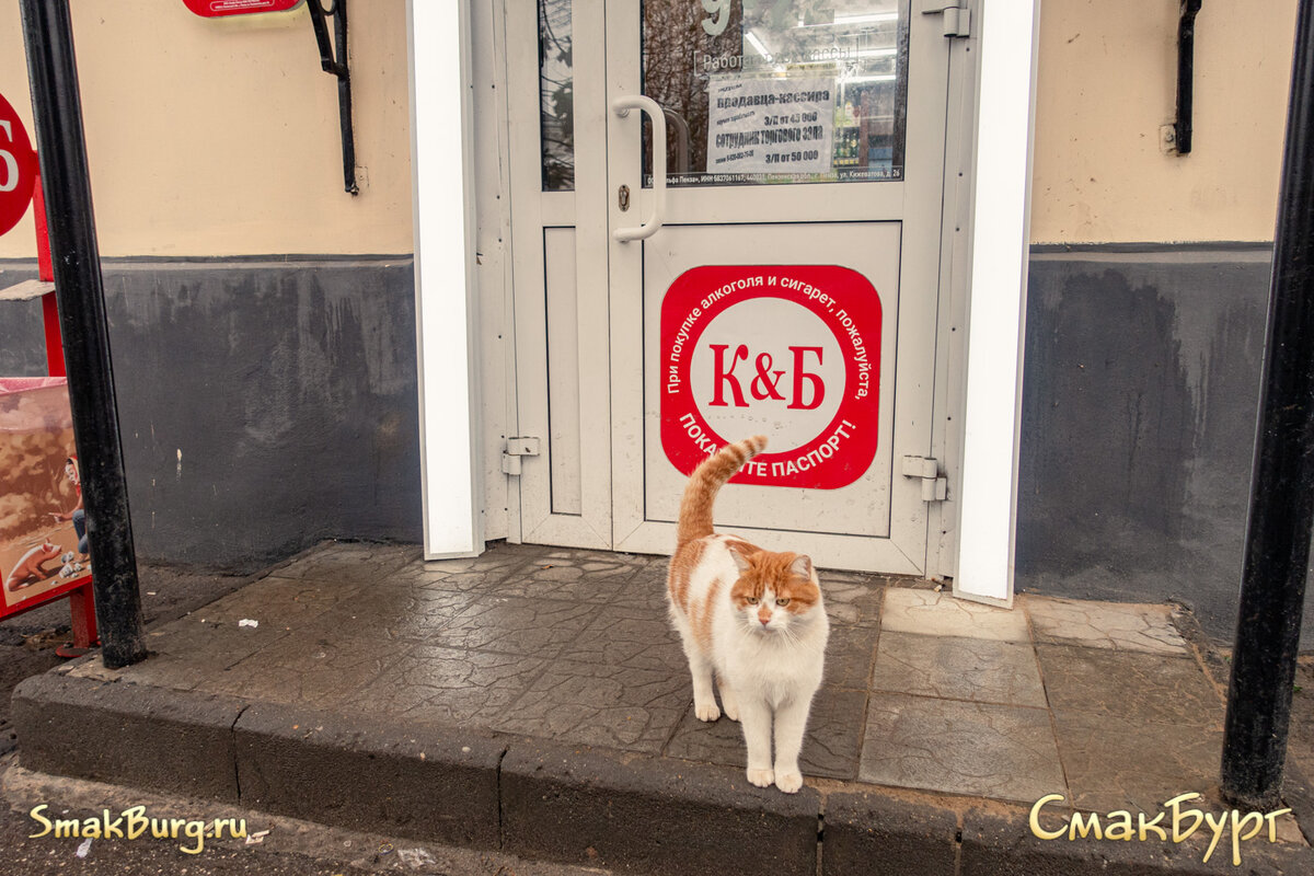 Местная хранительница Красного&Белого - красива и дружелюбна!