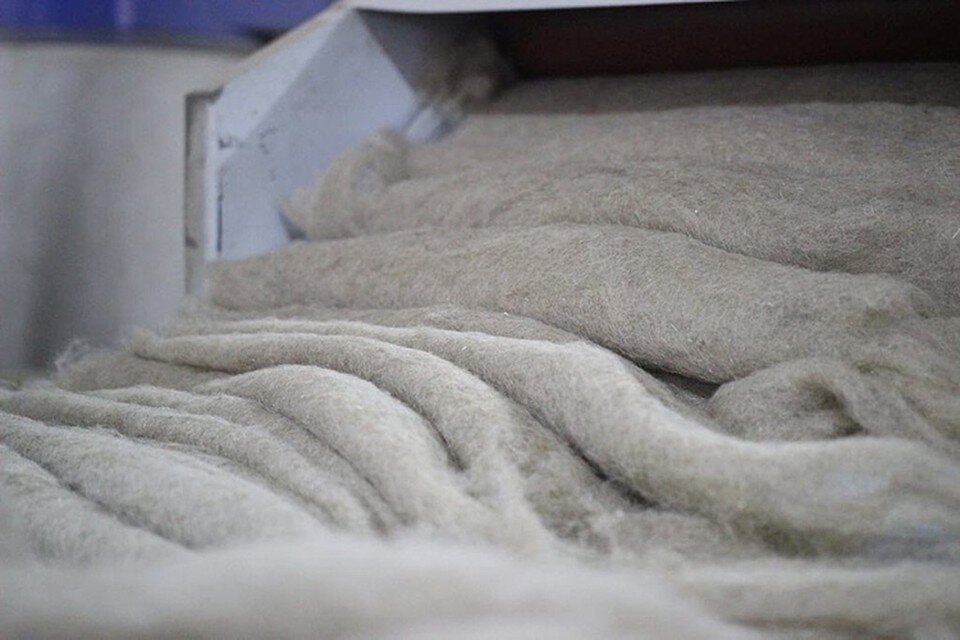     На продукцию выдали 2 фитосанитарных сертификата. Фото: agrarii.com