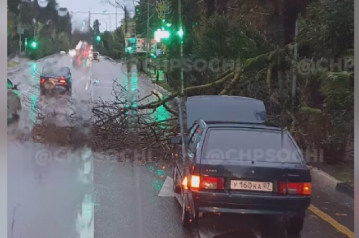 Машина переезжает ручей. Мку сочи служба спасения. Драка на улице виноградной сочи. Упала сочи. Дтп джубга сочи улетел в обрыв.