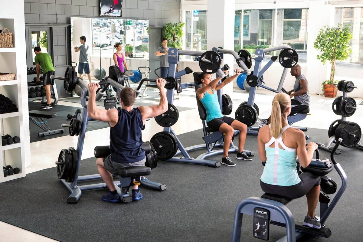 Gym playlists. Тренажерный зал. Занятия на тренажерах. Спортивный зал. Люди в спортзале