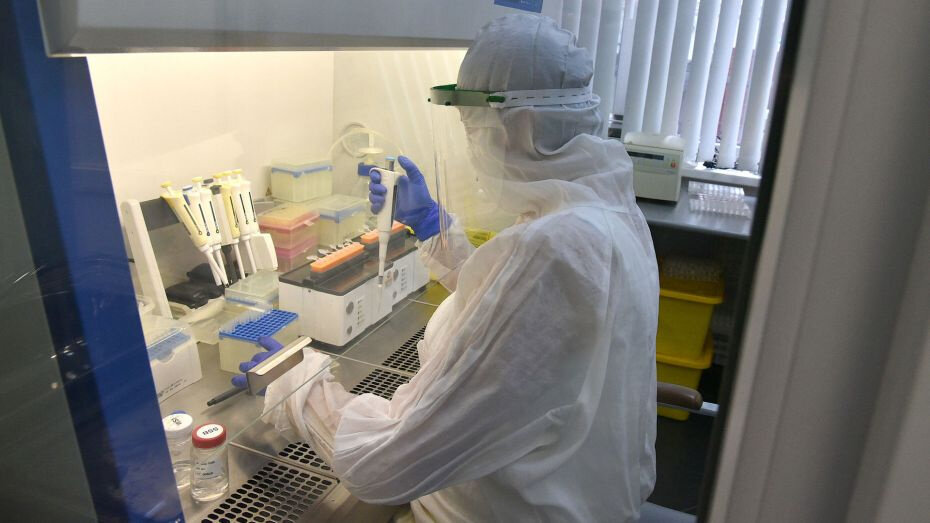   Автор фото: Михаил Кирьянов (из архива)