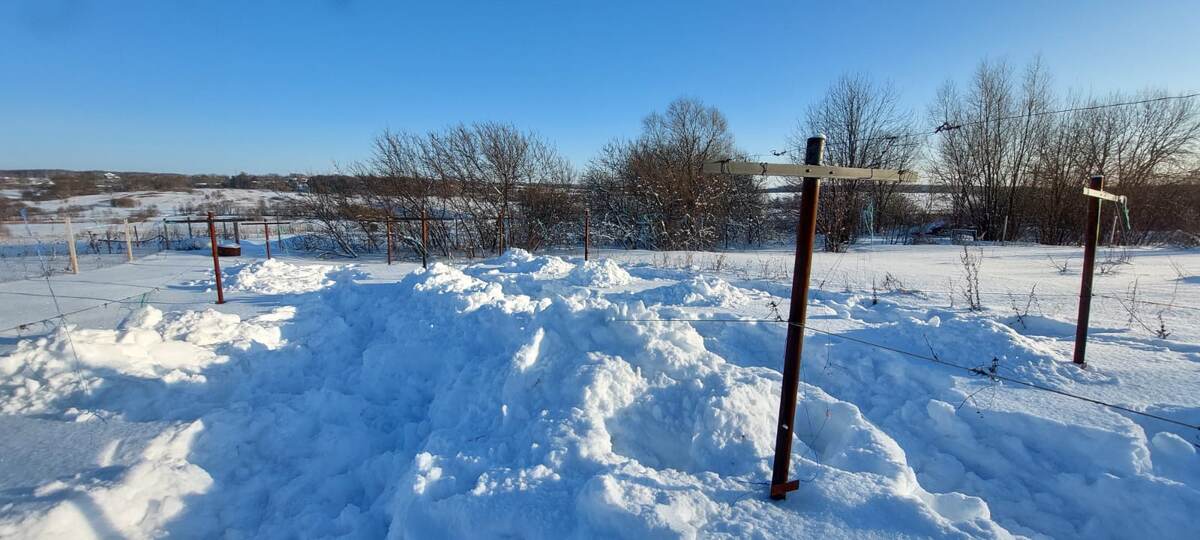 Так можно задержать снег до весны