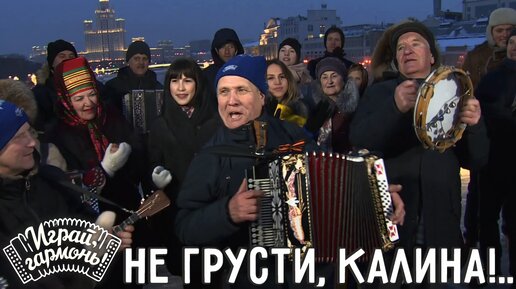 Земляки не грусти калина