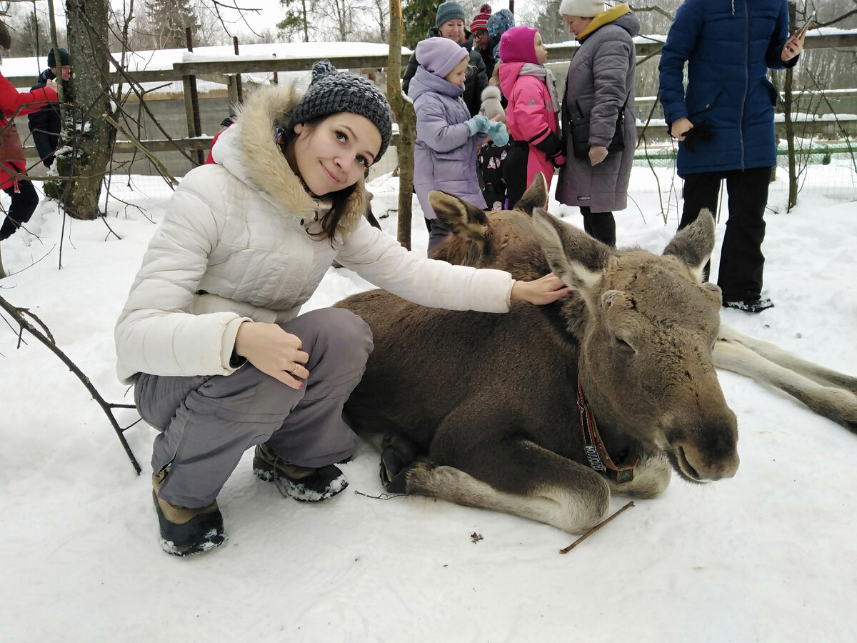  Теги: жизнь без заикания, заикание, не болезнь, как побороть, лечить заикание