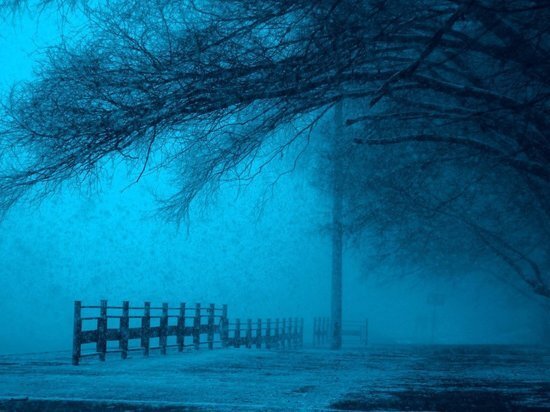     Фото unsplash.com