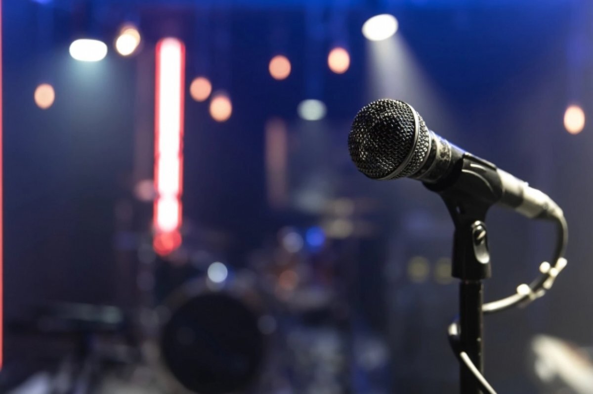    В баре в Новосибирске отказались включить в караоке песню про Путина