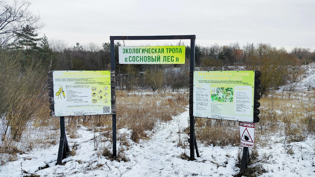 Вход в урочище "Сосновый лес" (Липецк, 19. мкр.).