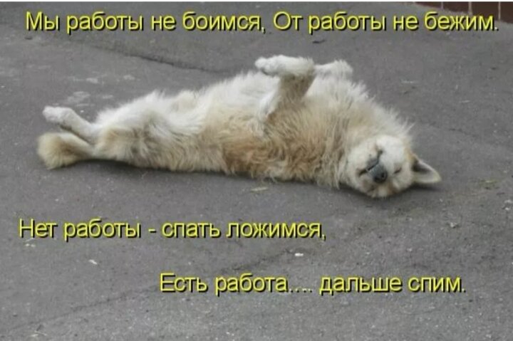 Картинка из инета
