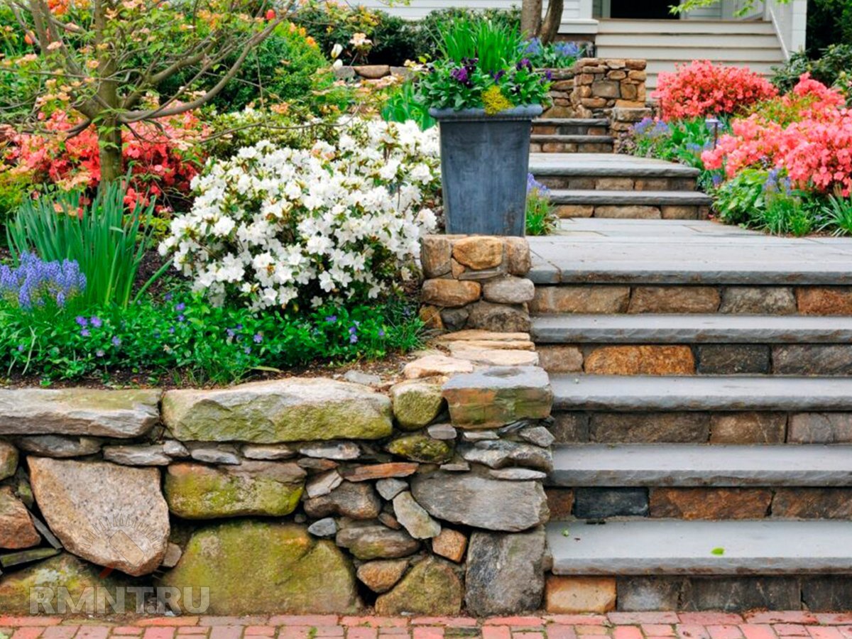   Фото homedit.com