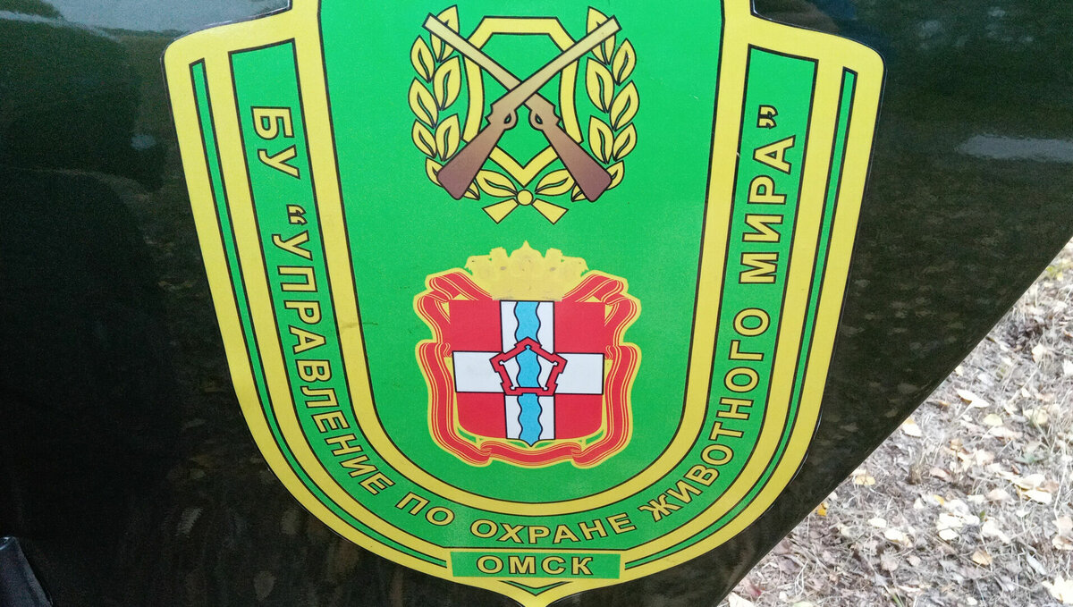     Из-за незаконной охоты возбудили три уголовных дела.