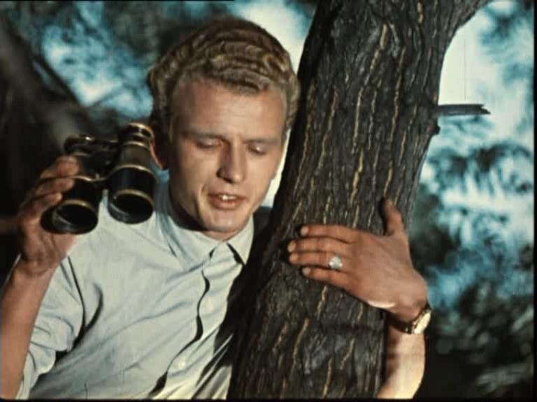 Николай Казаков в фильме "Операция "Ы" и другие приключения Шурика" источник: kino-teatr.ru