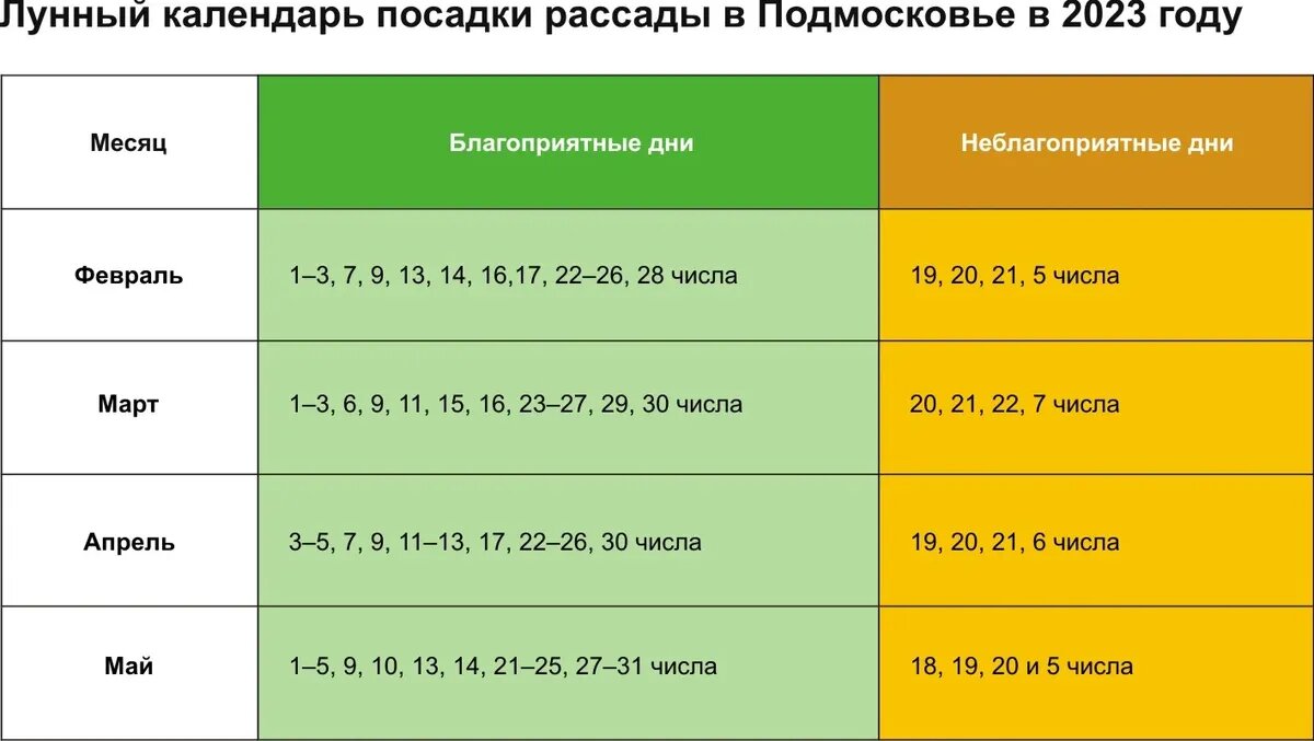 Лунный календарь посадки рассады в Подмосковье в 2023 году. Иллюстрация: