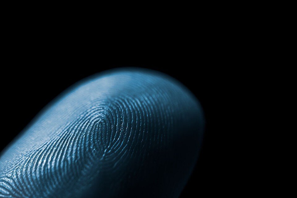     На Земле нет людей с одинаковыми отпечатками пальцев.  Shutterstock