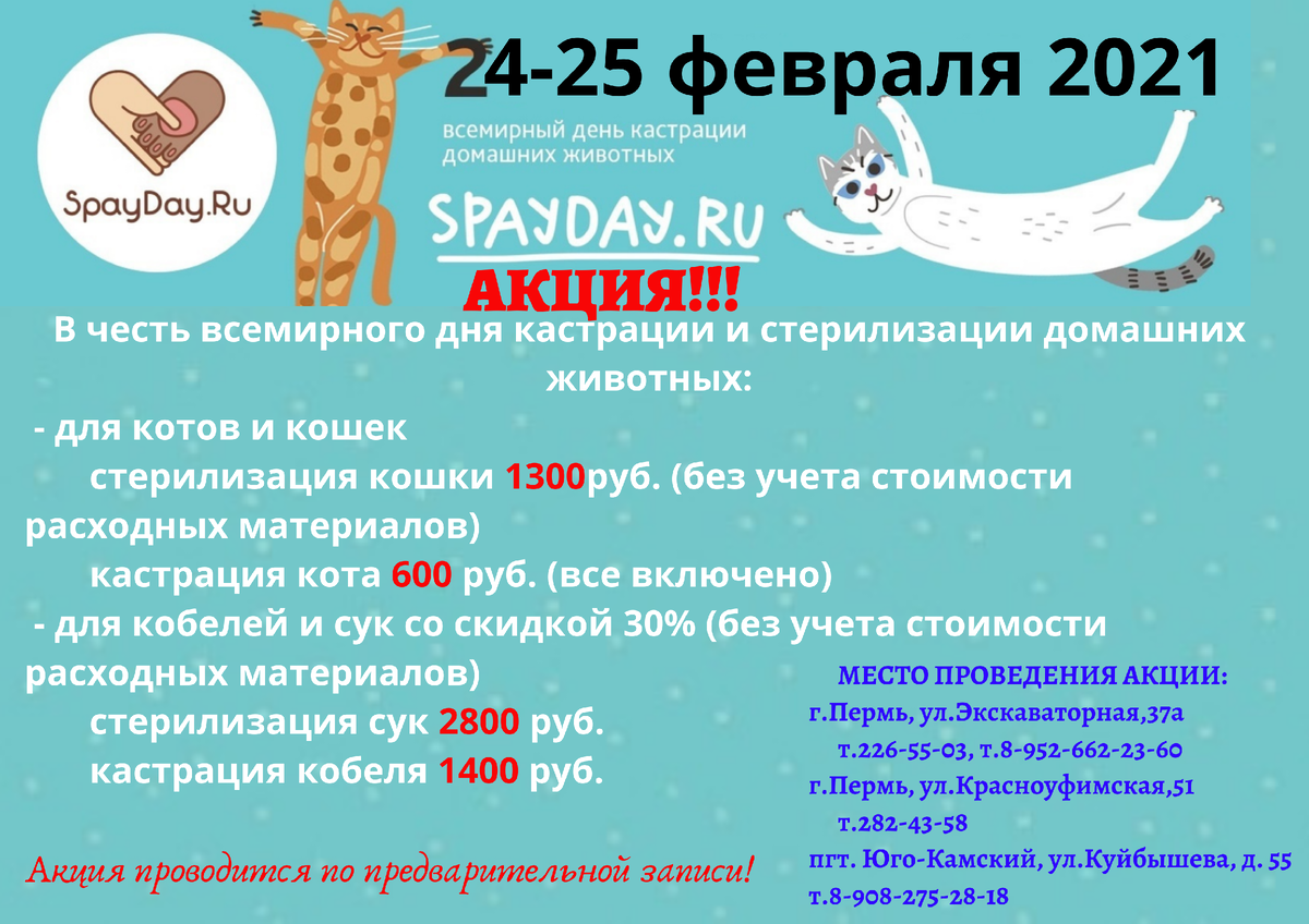 С сайта гос ветклиники. Это прямо суперпредложение. 