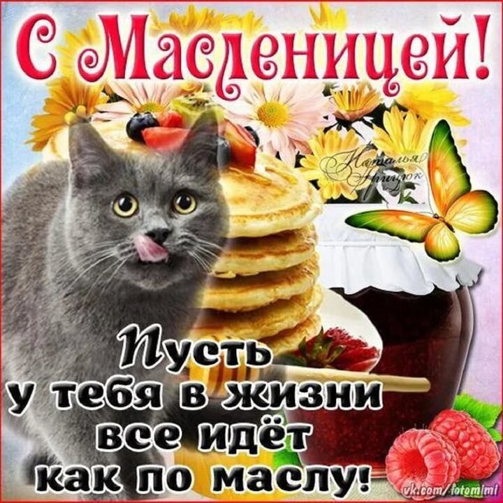 Открытки с маковым спасом. Хорошего самочувствия кот открытка. С масленицей прикольные. Надпись с медовым спасом. Масленица открытки поздравления.