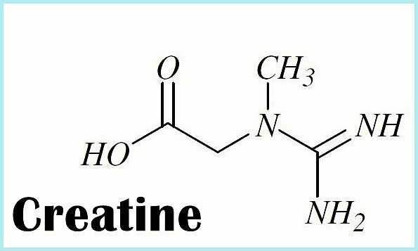 Креатин схемы приема