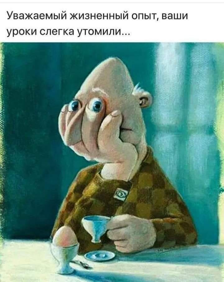 фото из открытых источников интернет. 