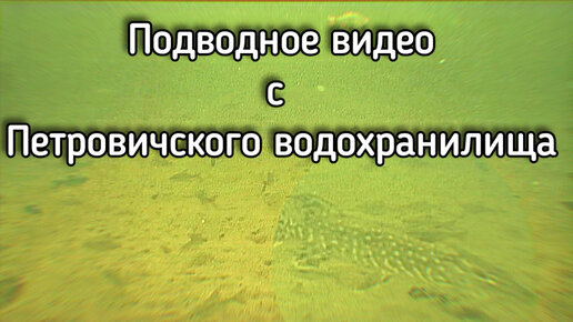 Подводное видео с Петровичского водохранилища.