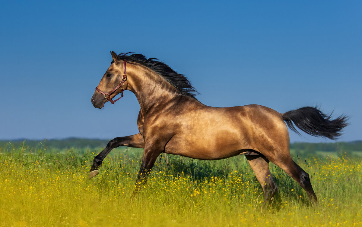   istockphoto/Abramova_Kseniya