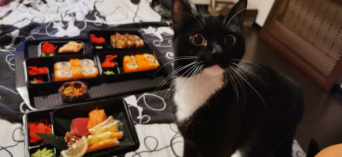 
Неправильное меню может вызвать болезни печени, желудка, костей и суставов