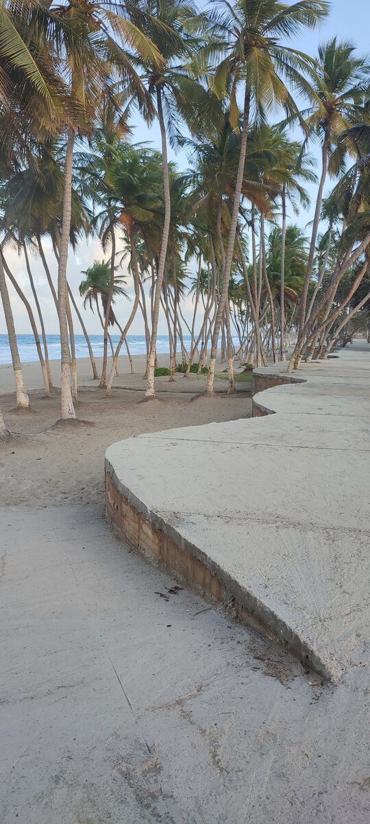 Венесуэла, остров Маргарита. Пляж  Playa El Agua: