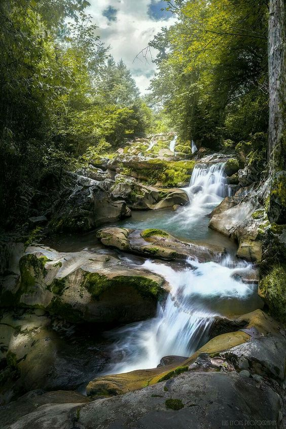 https://ru.pinterest.com/pin/24277285503083993/