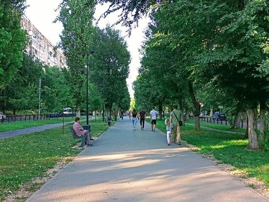     Фото: Наталья Балаболкина