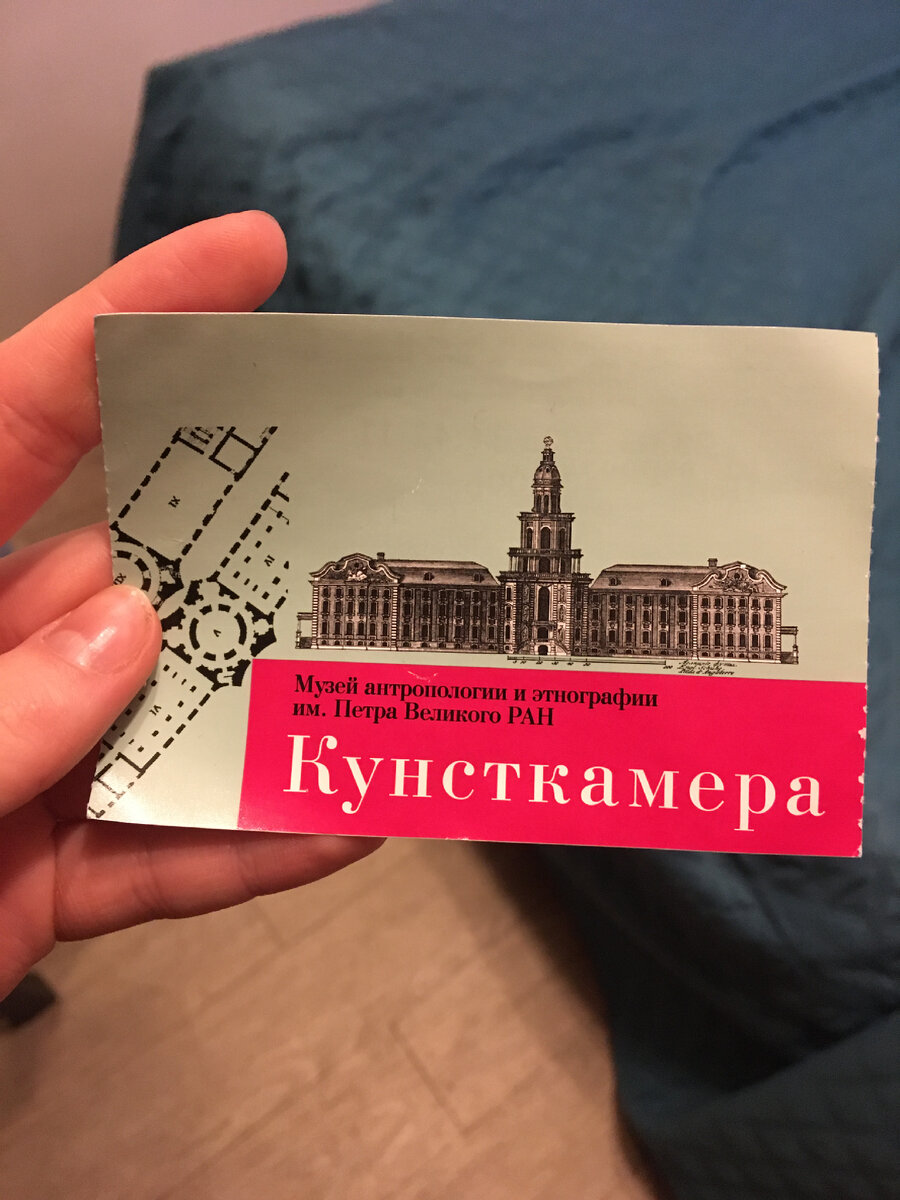 Кунсткамера в Санкт Петербурге. | Те ещё цветоводы🌿 | Дзен