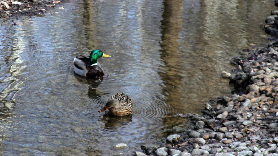    Автор фото: Евгения Емельянова