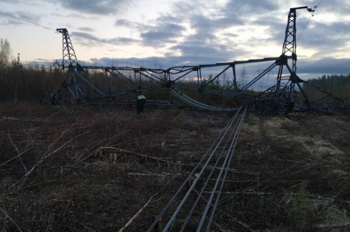    Подрыв опоры ЛЭП в Ленобласти могли произвести дистанционно