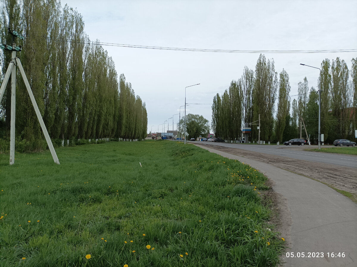 Дорога домой. 
