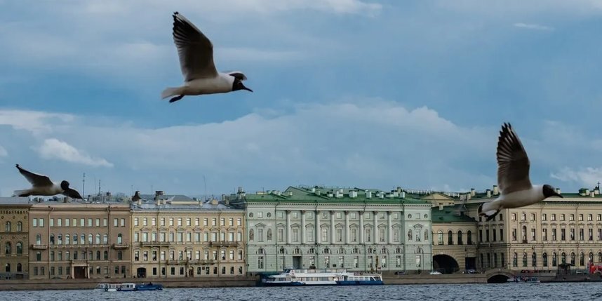    На этой неделе в Петербург придет тепло.Алена Бобрович