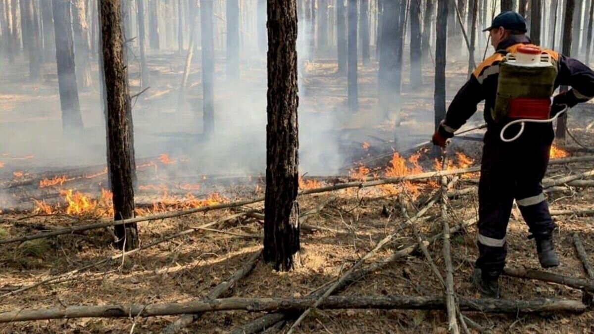     В Тюменской области нужно около 40 человек на должности связанных с ликвидацией пожаров. По данным сайта «Работа России» и «Зарплата.ру», в их числе МЧС и частные компании.