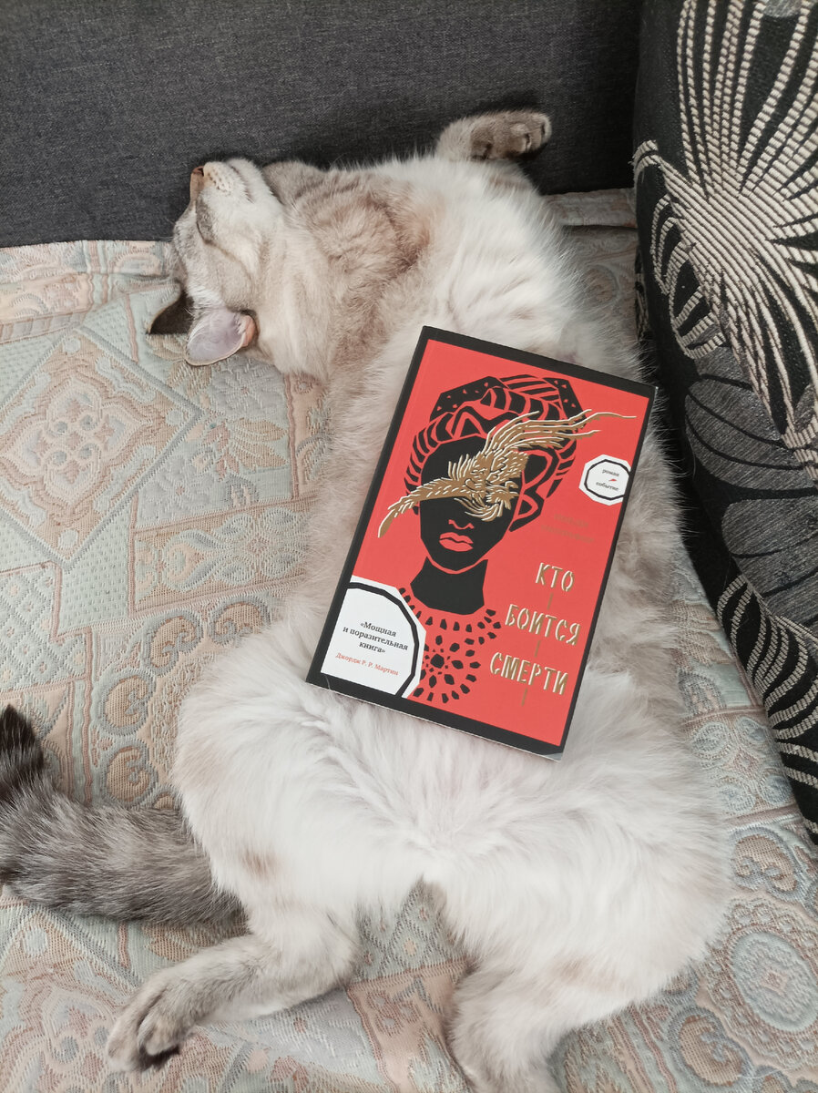 Сегодня читаемую книгу представляет Дженька в своем излюбленном режиме "я на полном чилле"