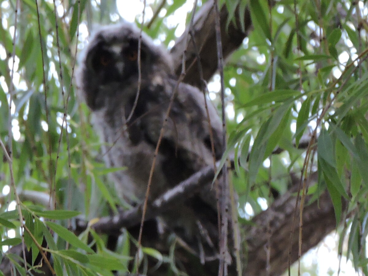 авторское фото