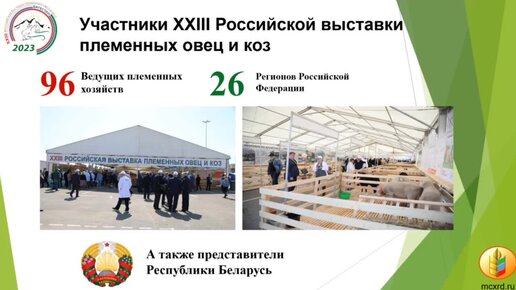 XXIII Российская выставка племенных овец и коз в цифрах.