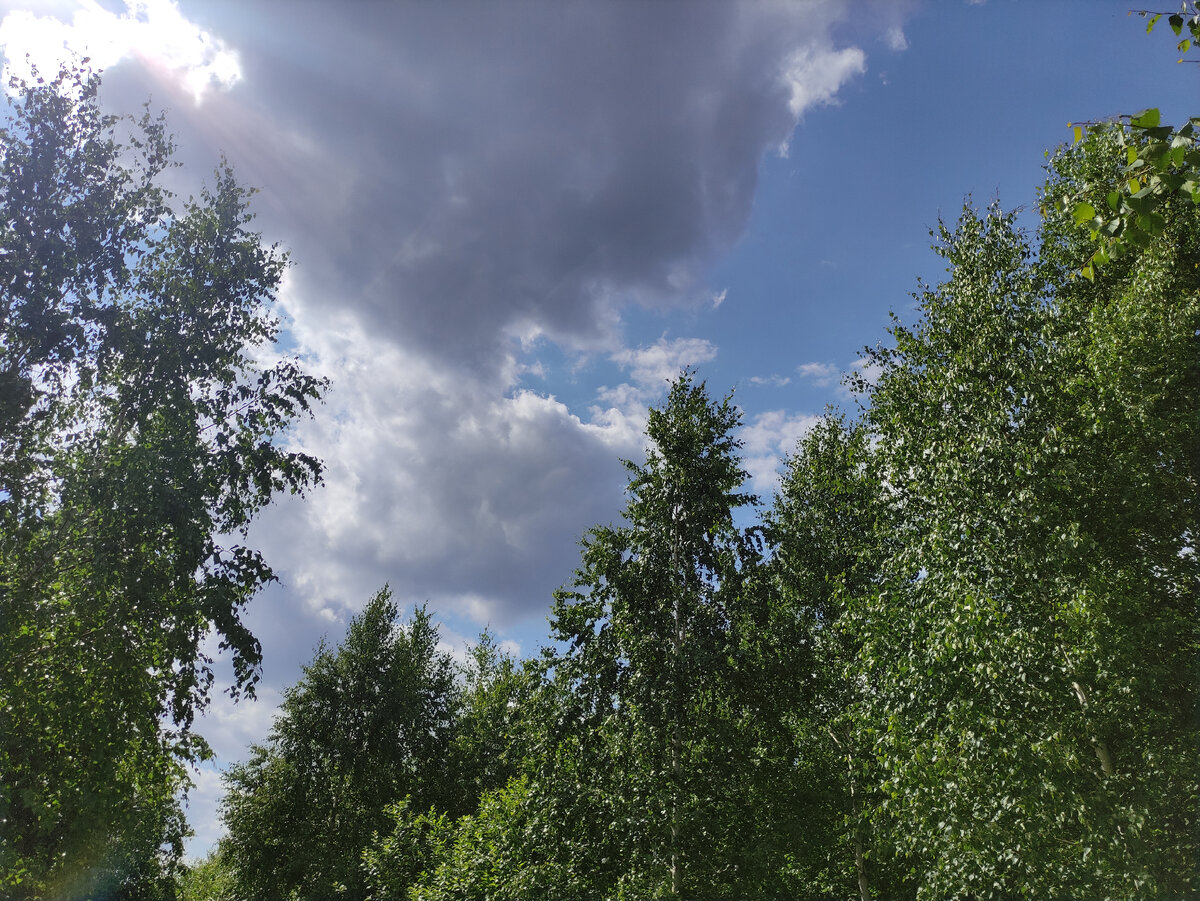 Тучки ходят по небу