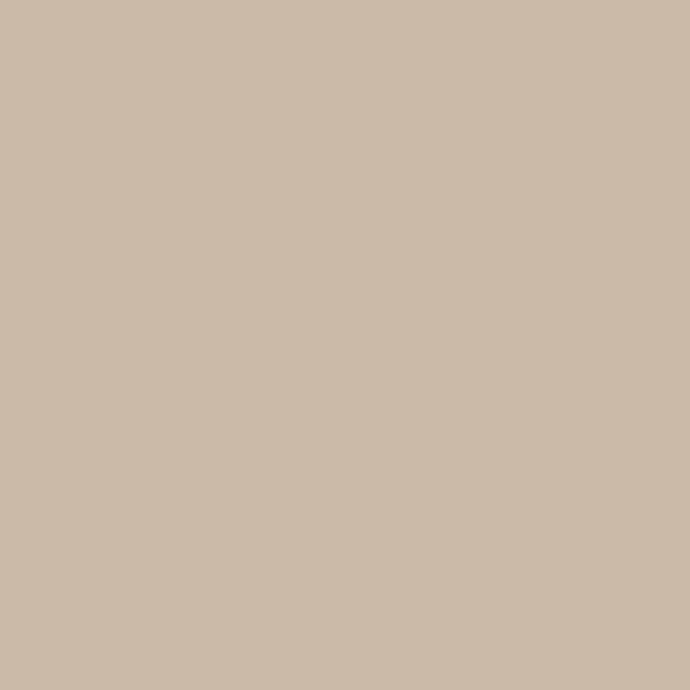 SW 7524 Dhurrie Beige
