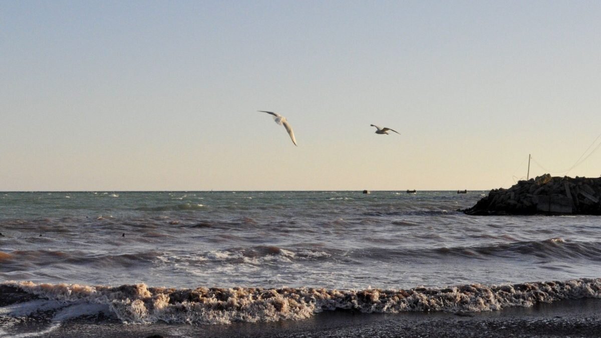    Фото: Sputnik/Ксения Воронина. Август Макаров