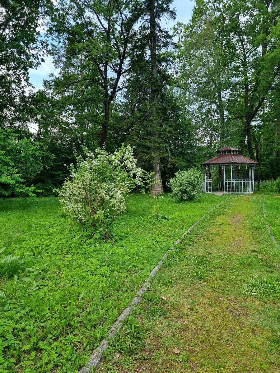 Беседка. Фото автора.
