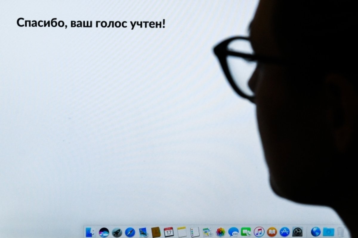    Политолог Матвейчев: ДЭГ — надежный и прозрачный инструмент голосования