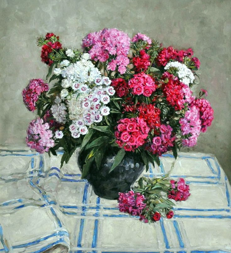   : vk.com    ok.ru