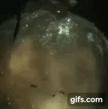 Вы видите эти мелкие колебания на фронте взрывной волны? Похоже именно они уперлись в край вселенной, передав ей колебания.