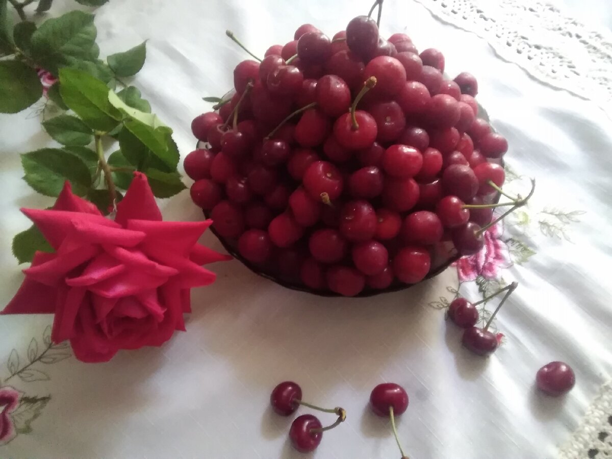 Вишня на столе (фотографии из личного архива автора)
