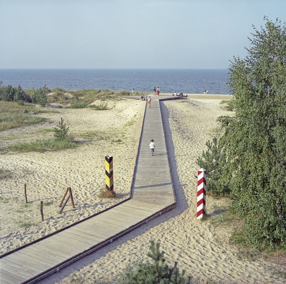 изображение взято с яндекс-картинок