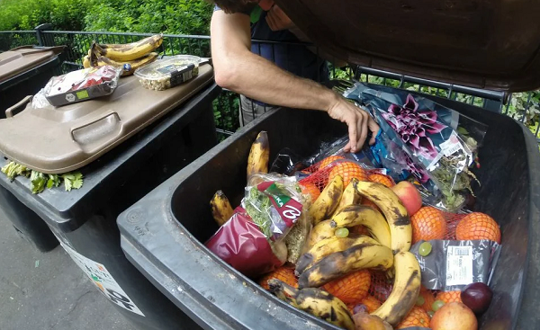 Хорошие продукты в мусорке ((