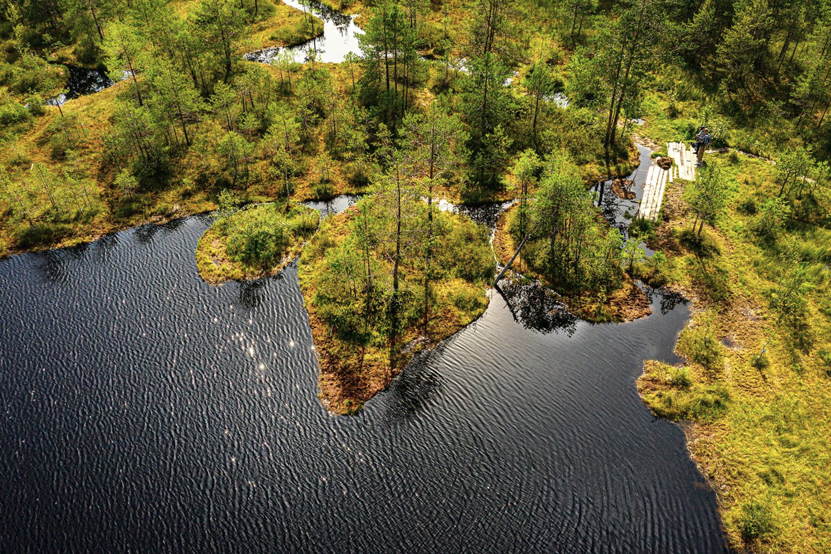 Плающие острова. Владения Богдарни.