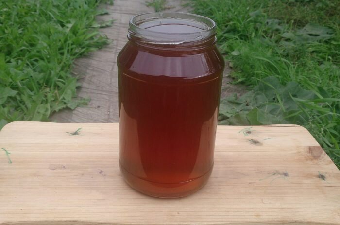 Дягилевый мед темного цвета и долго не кристаллизуется