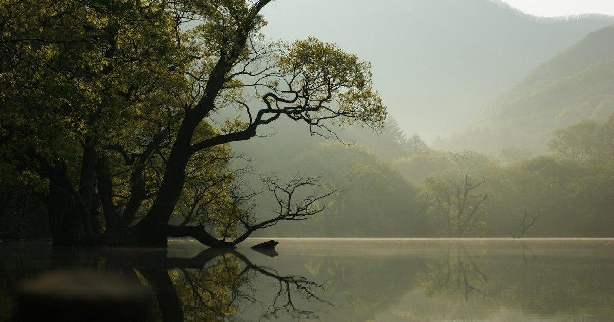 Фото: Image via pixabay / CC0 1.0