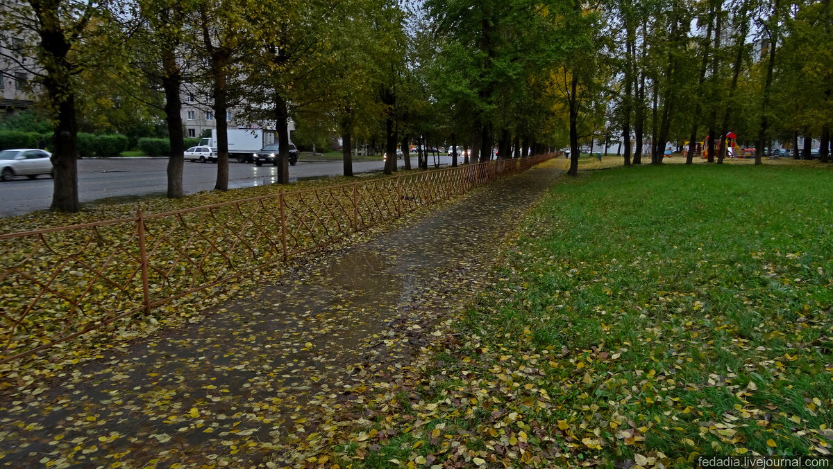 Изображение наших аллей. Фотография из yandex.ru